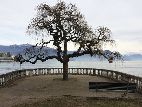 Giardino Botanico Alpinia